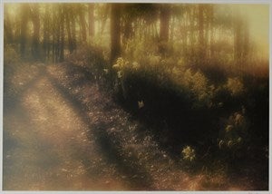 Image description is not available for DU2024.59